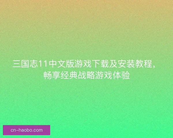 三国志11中文版游戏下载及安装教程，畅享经典战略游戏体验