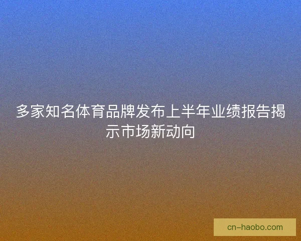 多家知名体育品牌发布上半年业绩报告揭示市场新动向